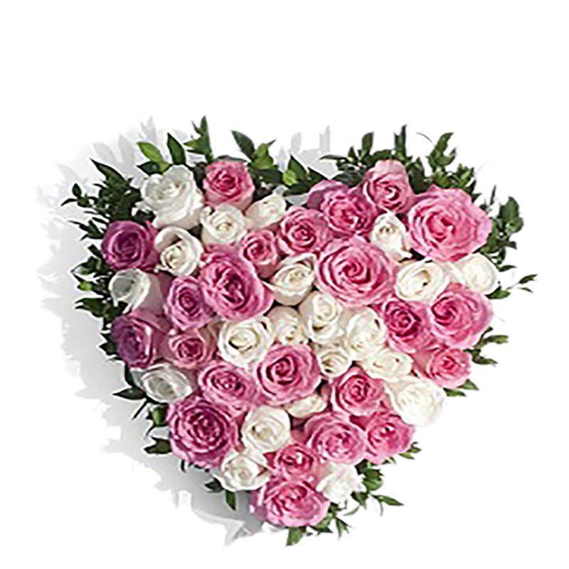 Pretty petals