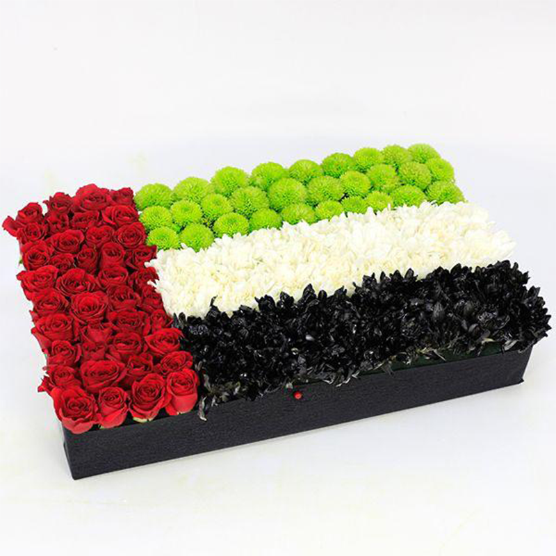 UAE flag