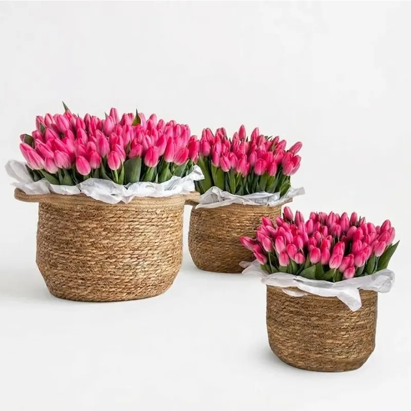 The Signature Tulips